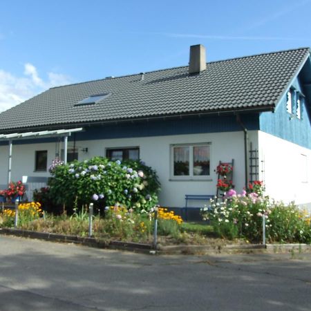 Ferienwohnung Haus Edeltraud Im Suedschwarzwald, Grosse, Helle, Ruhige Souterrain-Whg, Hunde Geeignet, Mit 2 Fahrraedern, 3 Baeckereien Mit Fruehstueck, 2 Lebensmittel-, 1 Italien-Pastalaeden, Kontakt Peter Heubueschl Aus Loerrach Rheinfelden  Exteriör bild