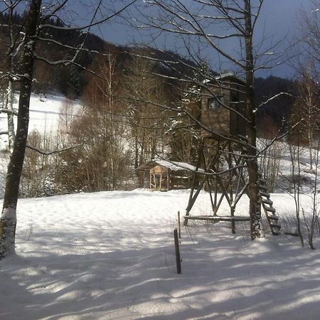 Ferienwohnung Haus Edeltraud Im Suedschwarzwald, Grosse, Helle, Ruhige Souterrain-Whg, Hunde Geeignet, Mit 2 Fahrraedern, 3 Baeckereien Mit Fruehstueck, 2 Lebensmittel-, 1 Italien-Pastalaeden, Kontakt Peter Heubueschl Aus Loerrach Rheinfelden  Exteriör bild